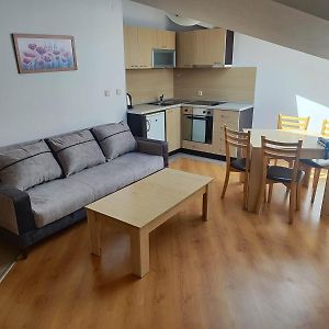 Apartament z 1 sypialnią